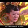 恢复49图库最新版本